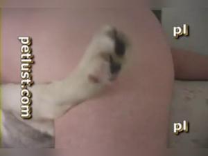 Extreme Bestiality Sex Videos with Men and Bitches