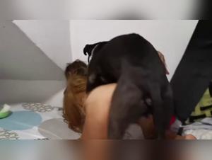 Sex video with dog: a woman subjected to a bestial act