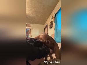 My dog makes me cum like a goddess