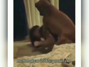 Expérimentez l'extrême avec notre vidéo de bestialité