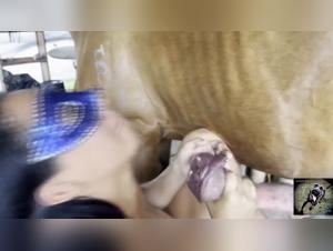 Desiderio bestiale: orgie animali e godimento impudenti