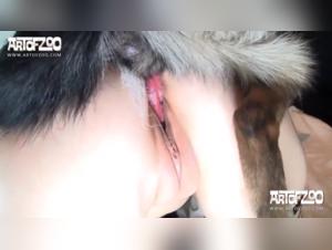 Dog Sex: A Unique and Exciting Experience