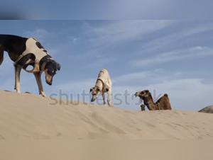 Forbidden Sensual Delights