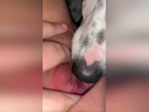 Intense sex scene with a dog