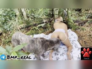 Cane focoso, troia sottomessa: Alison si abbandona al divertimento indecente con gli animali