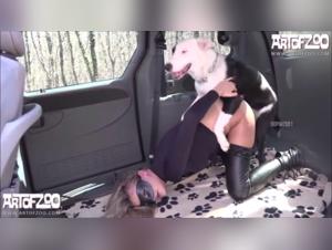 Zoophile Hardcore Video: A Charnel Connection