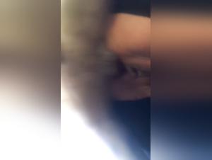 Discover the Universe of Zoophilia in all its Splendor