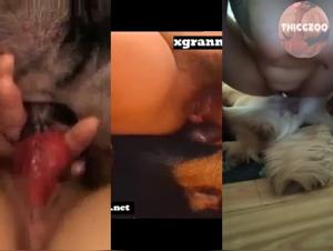 Dicke Frauen, wilde Hunde: Eine Fusion bestialischer Ausschweifungen