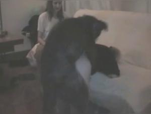 Intense moments of bestiality and pleasure