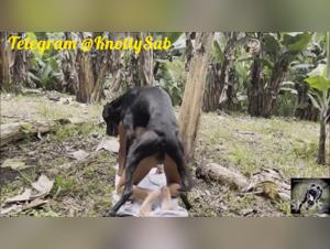 Canine Double Penetration: Xiomara and Sharley Explore the Limits of Pleasure