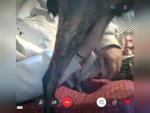 fucking dog bestialzoo