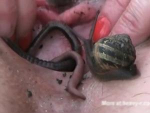 Bestiality at its peak with insects and molluscs