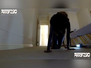 A Shocking Display of Bestiality and Passion