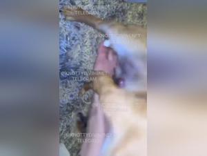 Stagioni hardcore della bestialita filmata