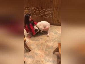 Amateur video of sex with a dog: an extreme practice
