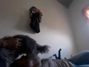 Rivelazioni incestuose: potere animale e devozione femminile