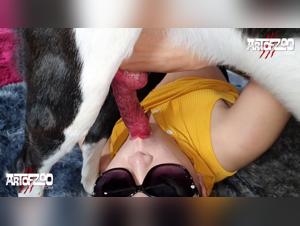 The Hottest Sex with Dogs Videos You Need to See