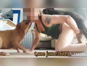 Video di bestialita francese, tedesco e americano