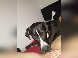 The Blonde Woman Fucks Her Dog in an Intense and Shocking Scene