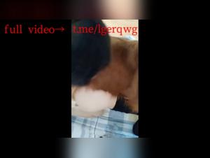 porno dog and beastie gals