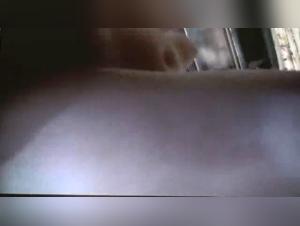 Extreme dog sex videos