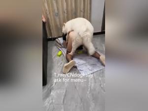 Canine Domination: A Woman Under the Dog's Control