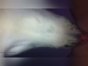 Hardcore Sex Scenes with Dogs