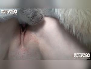 Fucking Animals: Exploring Taboo Themes