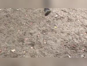 Sehen Sie sich diese Frau in einer Sexszene mit einem Zebra an