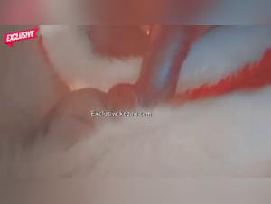 Discover the world of Zoophilia and Bestiality