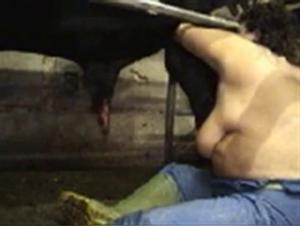 Sensual Encounters with Companion Animals for Two People