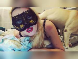 Wilde Tierwelt: Sodomie mit Hunden ohne Grenzen