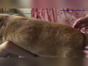 Watch Masha Katieva and her dog in an animal sex scene