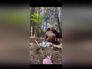 Squirts and Cum: The Dog Devours Cupcake in an Animal Orgy