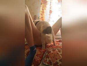 Erster Fick, brennende Leidenschaft: Milly und ihr Hund