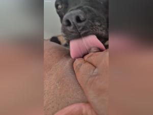 Amateur zoo video