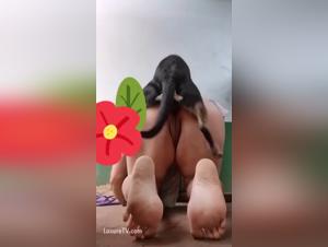 doggy style reality: raw & unfiltered