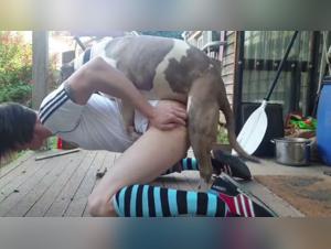 Dog sex video: a shocking bestiality scene