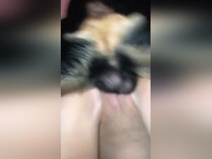 Amateur zoophilia video: a shocking and hard first time