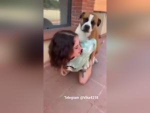 dog cock and dog sex