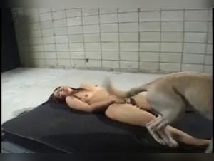 A woman who is dog lover seeks the same love and affection from her boyfriend