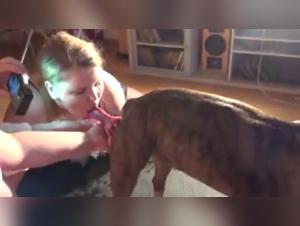 Vidéo de sexe bestialité avec une femme ronde et un chien