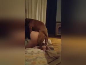 woman animals sex zoofilia