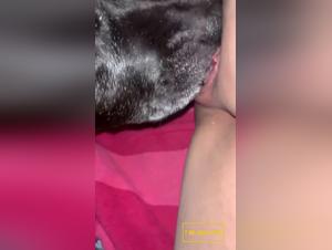 Animal arousal turns into hardcore female enjoyment
