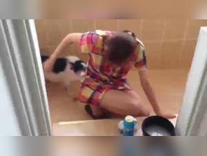 Hardcore and Extreme Bestiality Videos