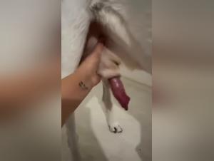 Exploring Desires: The Animal Tube Dimension