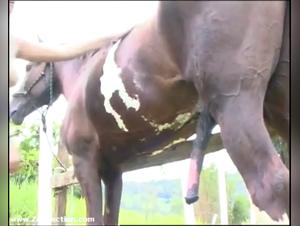 Extreme bestiality scene with Paola and her horse