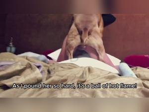 Dog Sex Brut : Des Filles Se Laissent Fourrer par un Chien Insatiable