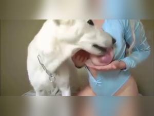 Feticismo animale: schiavitu e sottomissione