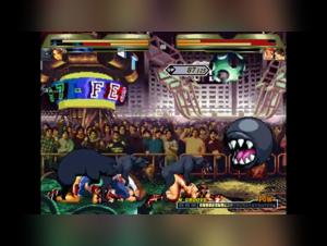 A zoophilia video with dogs and pigs